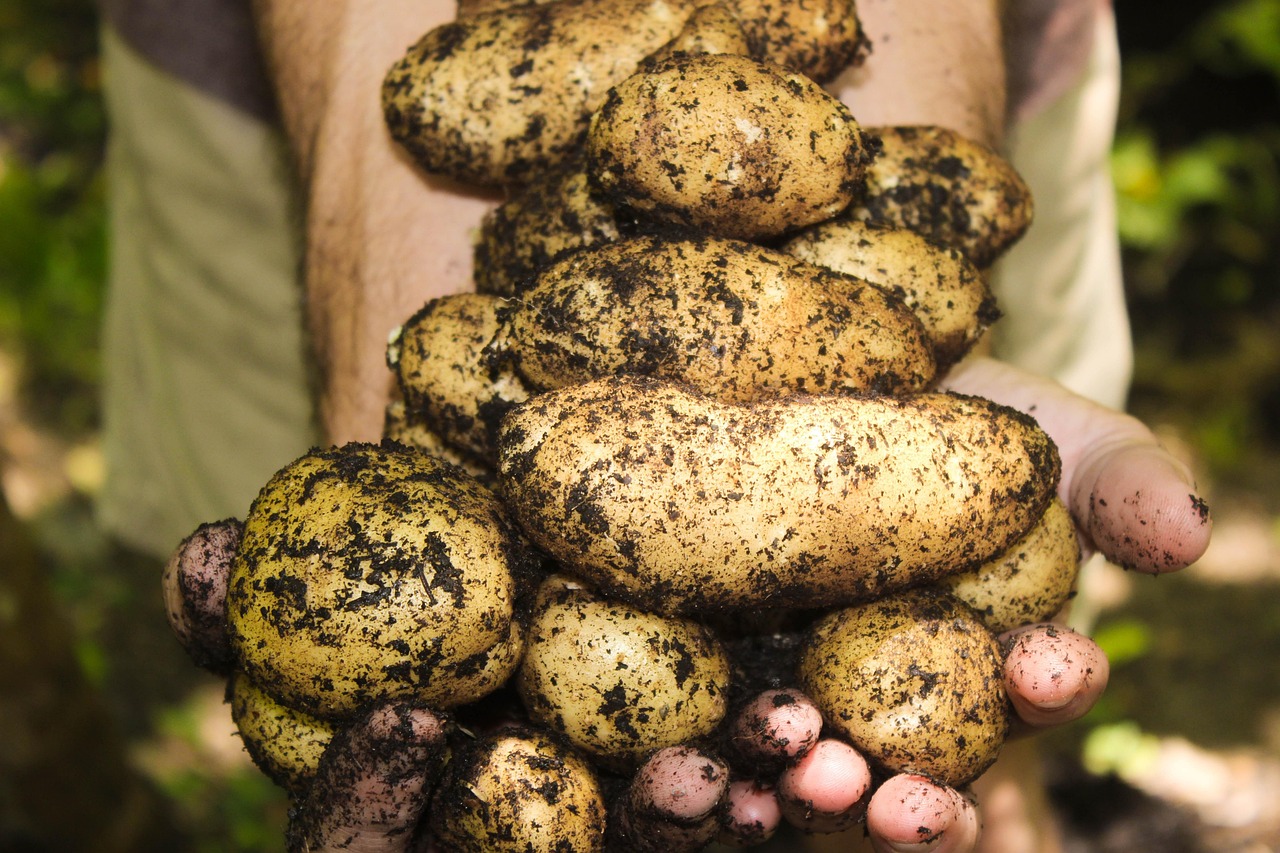 Gardening Lifestyle Premium Content