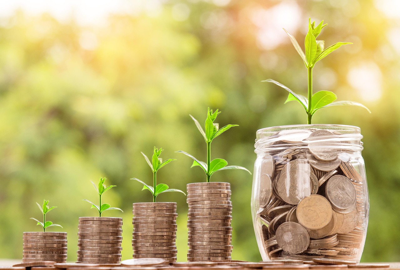 Entrepreneurial Finance & Startup Investment Strategies